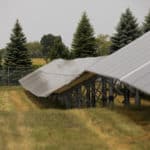 Hydra Row of Solar Panels on a Hill with Pine Trees in Background