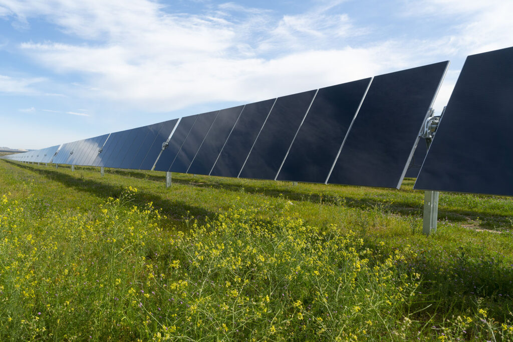 Blevins 270 MW Solar and 432 MWh Storage Project in Texas