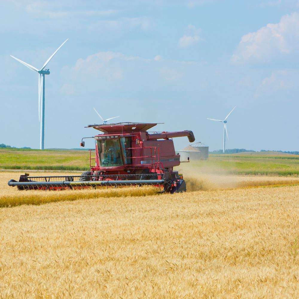 Field with wind turbines