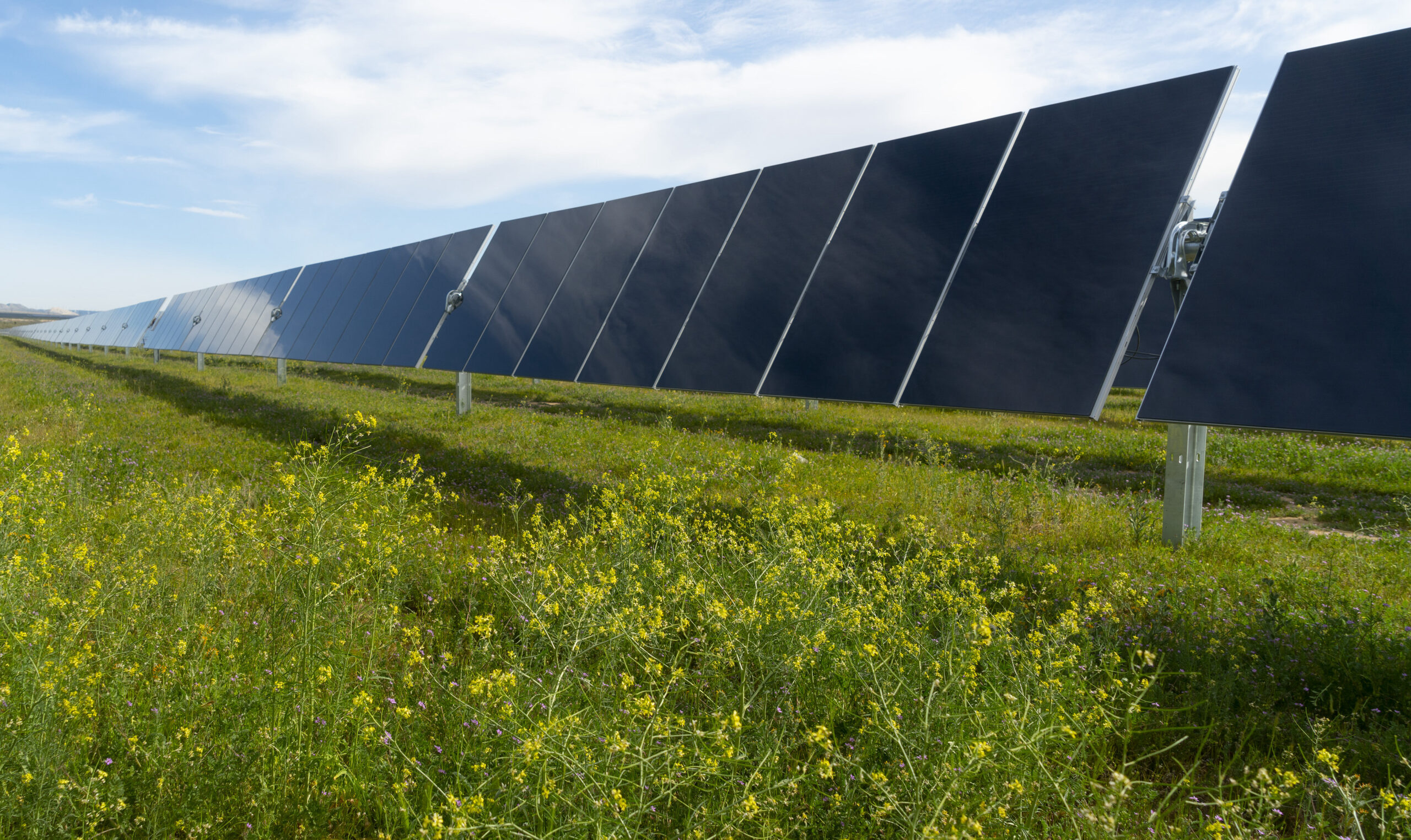 High Spring Solar Wild Springs Solar Project in South Dakota Generating 128 MW