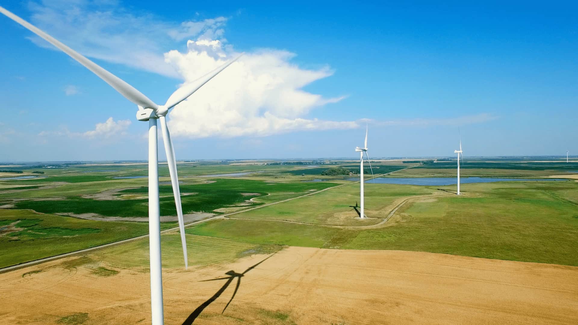 Prairie Rose wind turbines