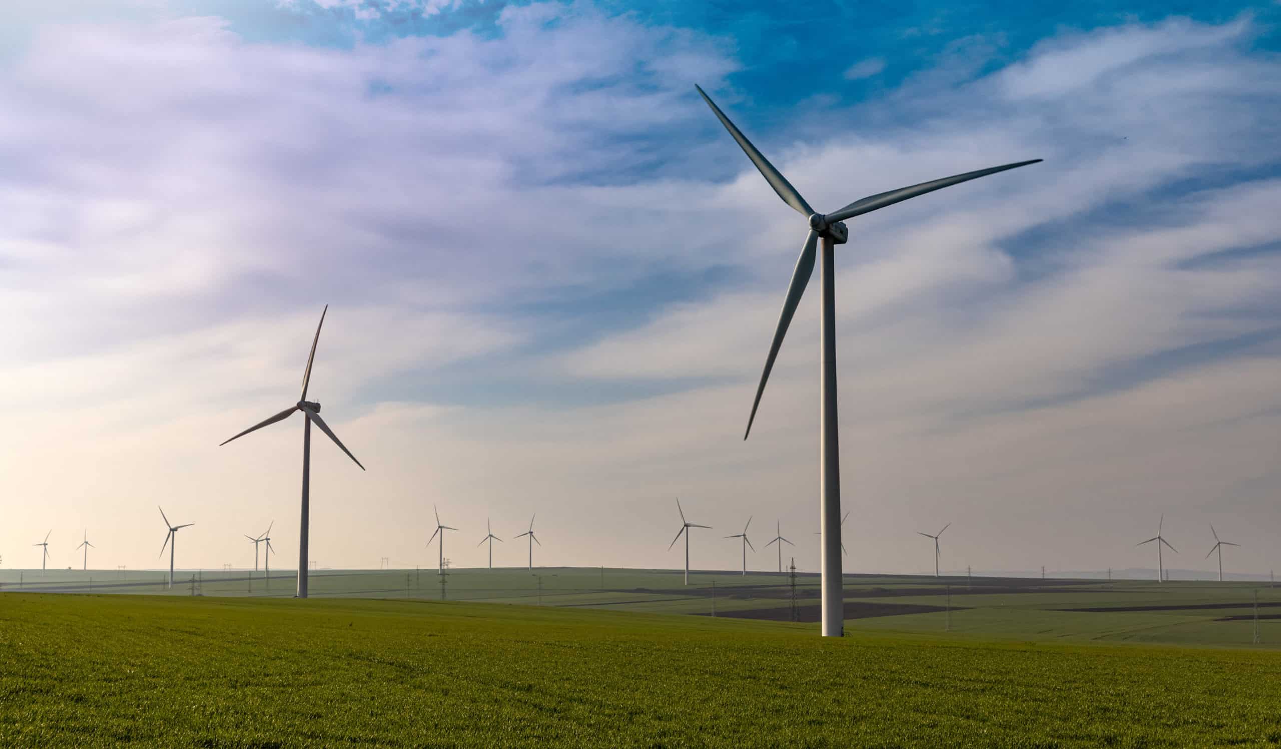 Field of wind turbines