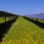 Fayette Solar Project