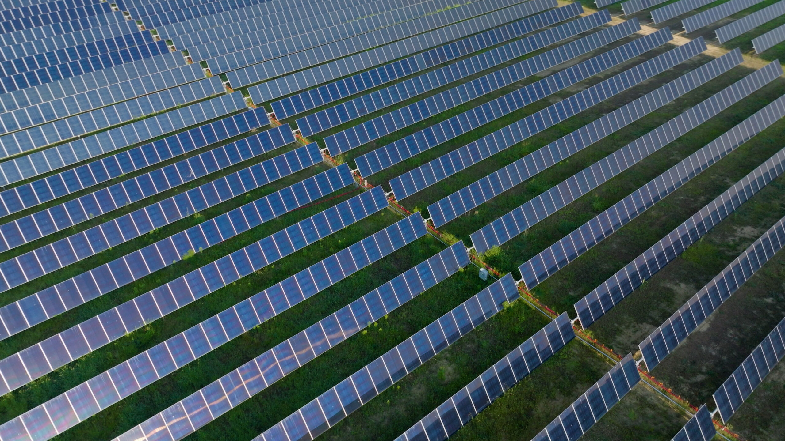 Yellowbud Solar Energy Farm Begins Operations for Amazon