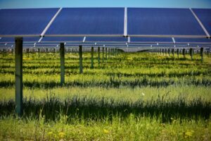 Geronimo Power Breaks Ground on Jackson County Solar in Michigan