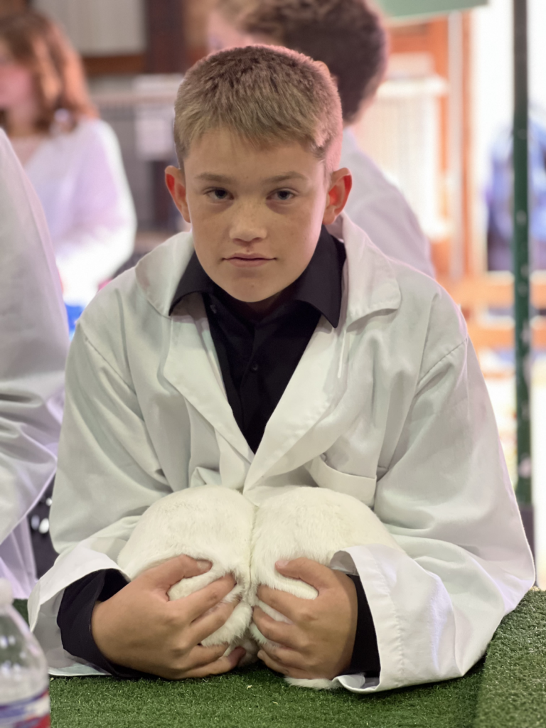 Boy with rabbits