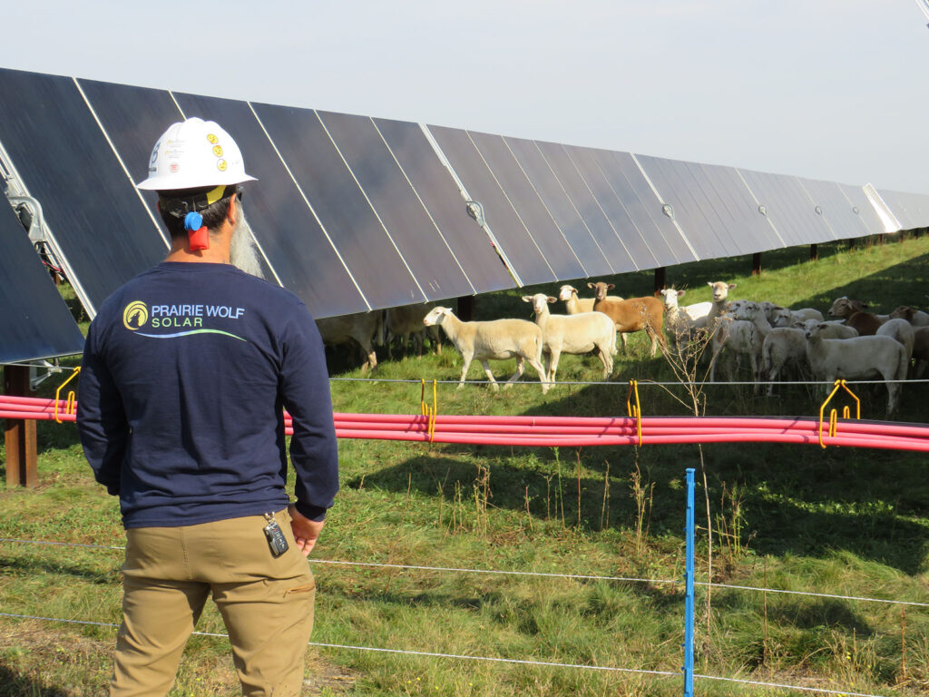 Respecting the Deep Value of the Land: Experimenting with Agrivoltaics