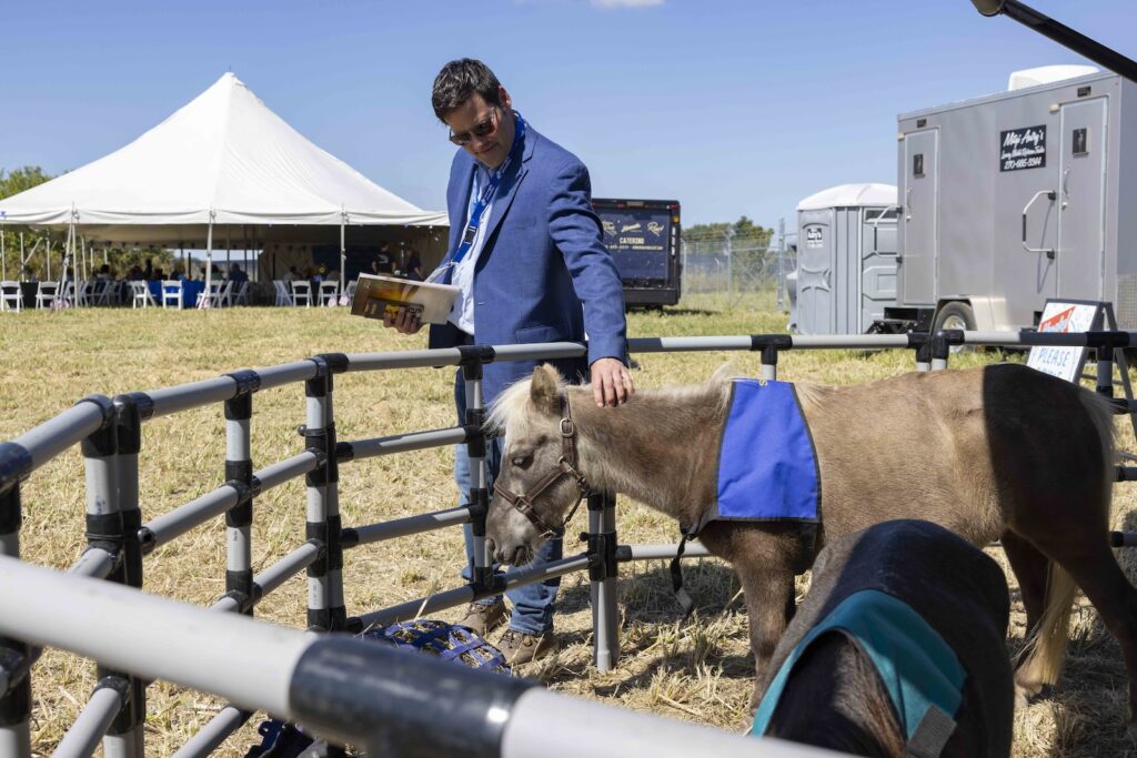 Man petting miniature horse