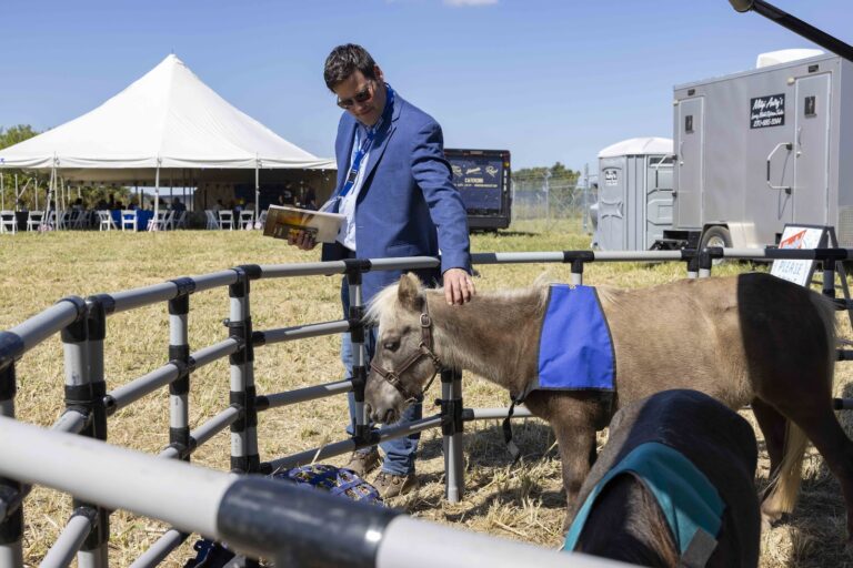 Man petting miniature horse