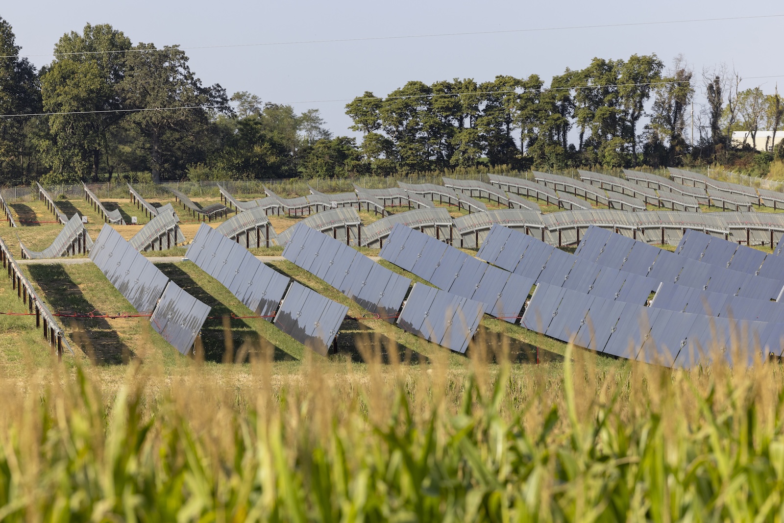 Apple River Solar Project Producing 100 MW in Wisconsin