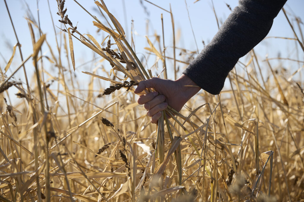 Geronimo Power Sponsors the Future Farmers of America (FFA) Blue Jackets for Nobles County Students