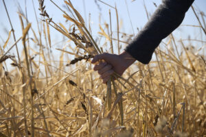 Geronimo Power Sponsors the Future Farmers of America (FFA) Blue Jackets for Nobles County Students