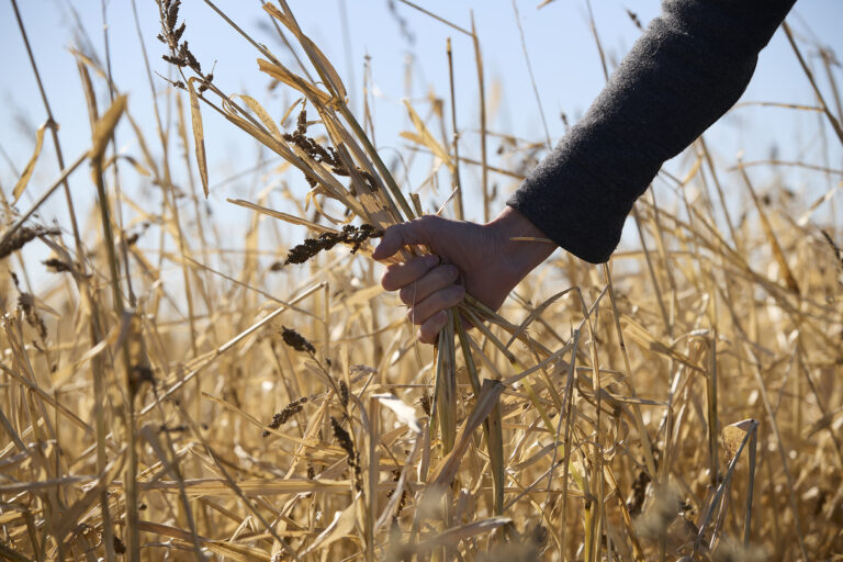 Geronimo Power Sponsors the Future Farmers of America (FFA) Blue Jackets for Nobles County Students