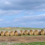 Jasper County Powered Data Park