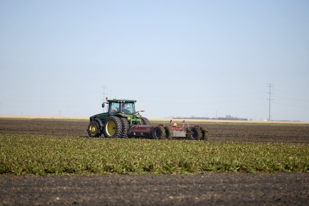 Sugar beet harvester